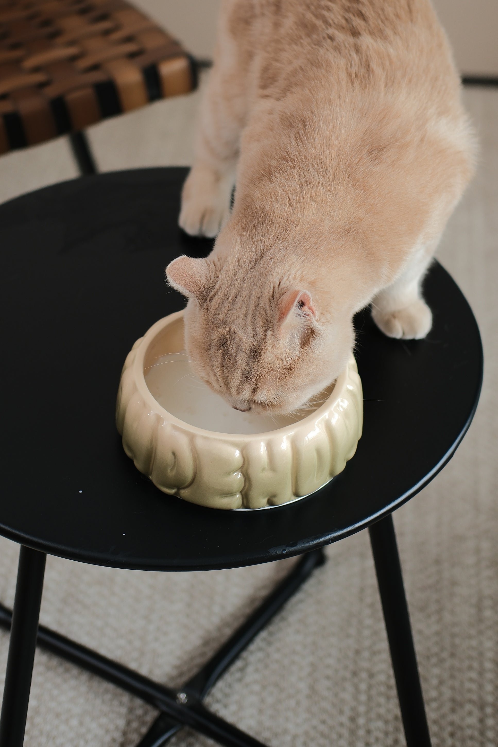 Puff Pet Bowl-Gradient Olive