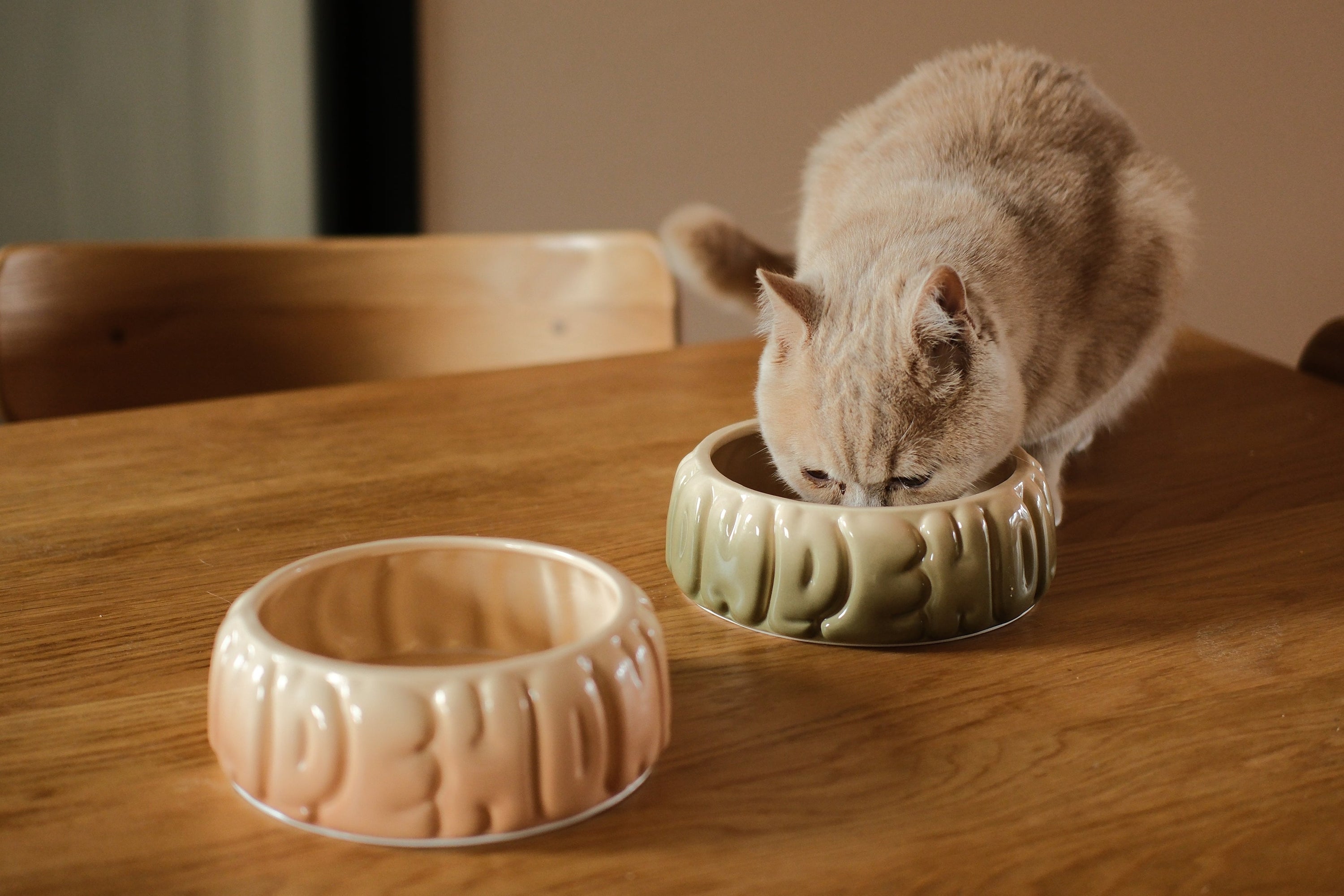 Puff Pet Bowl-Gradient Caramel
