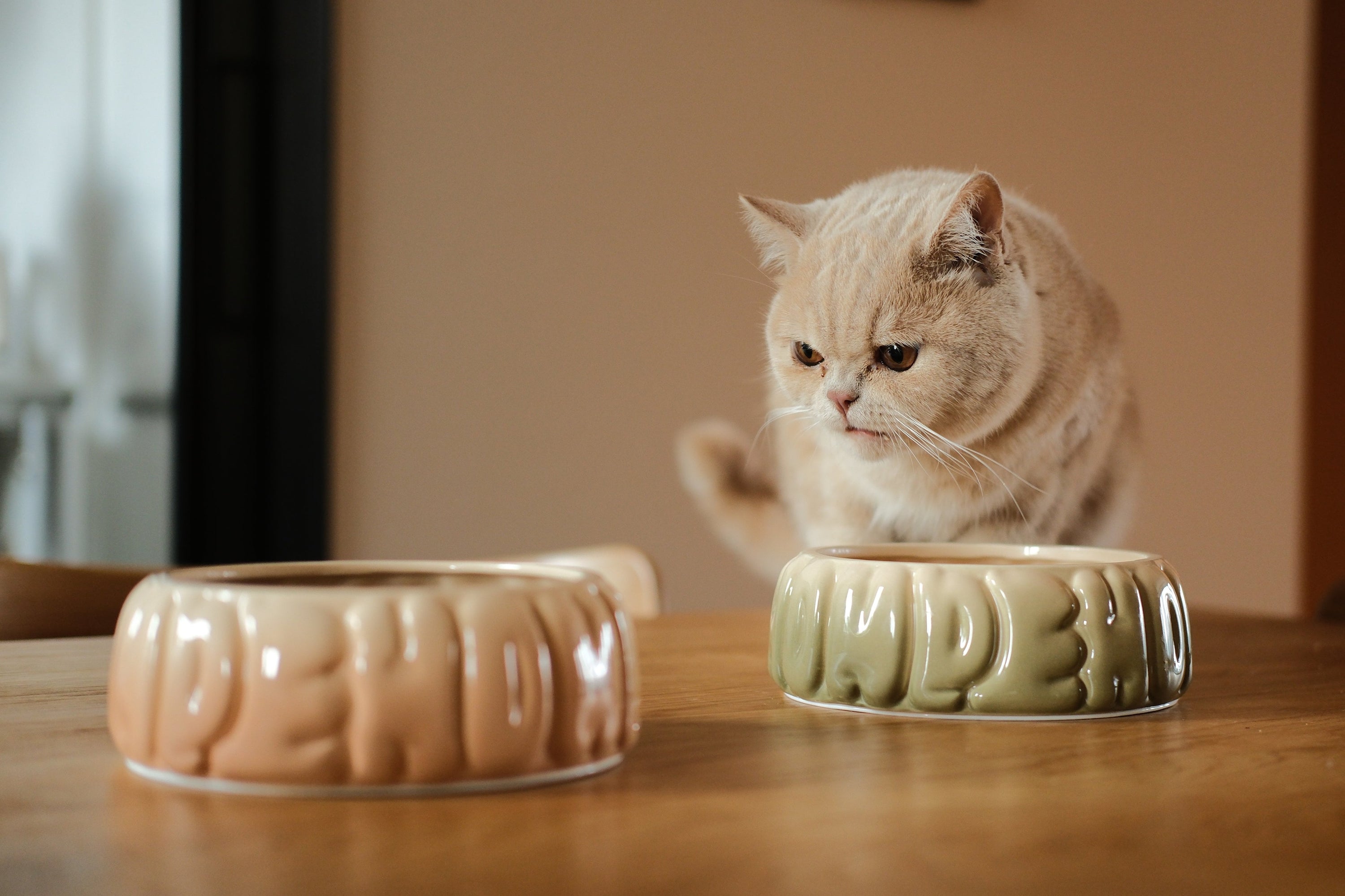 Puff Pet Bowl-Gradient Caramel