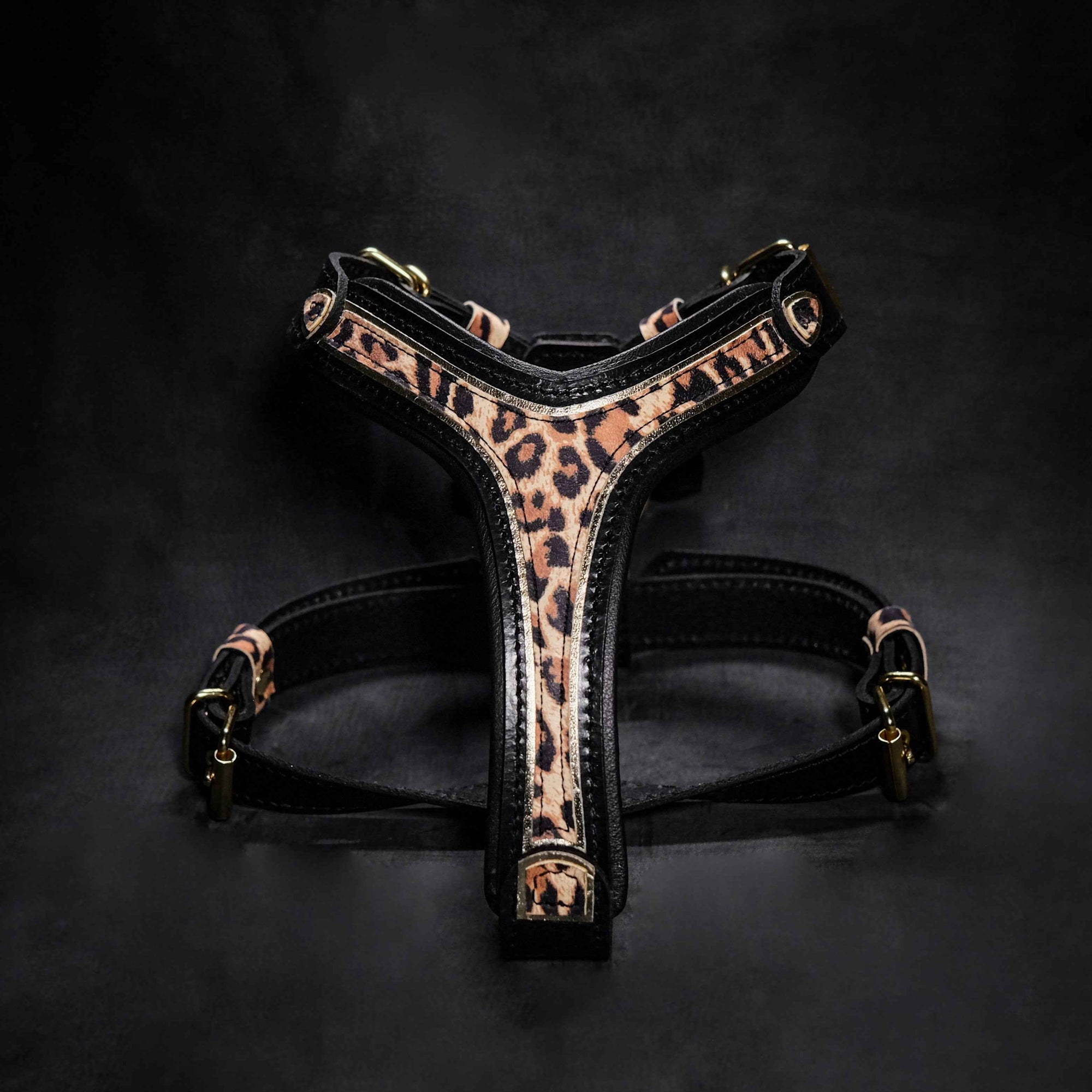 Bestia Leopard Leather Small to Medium Dog Harness