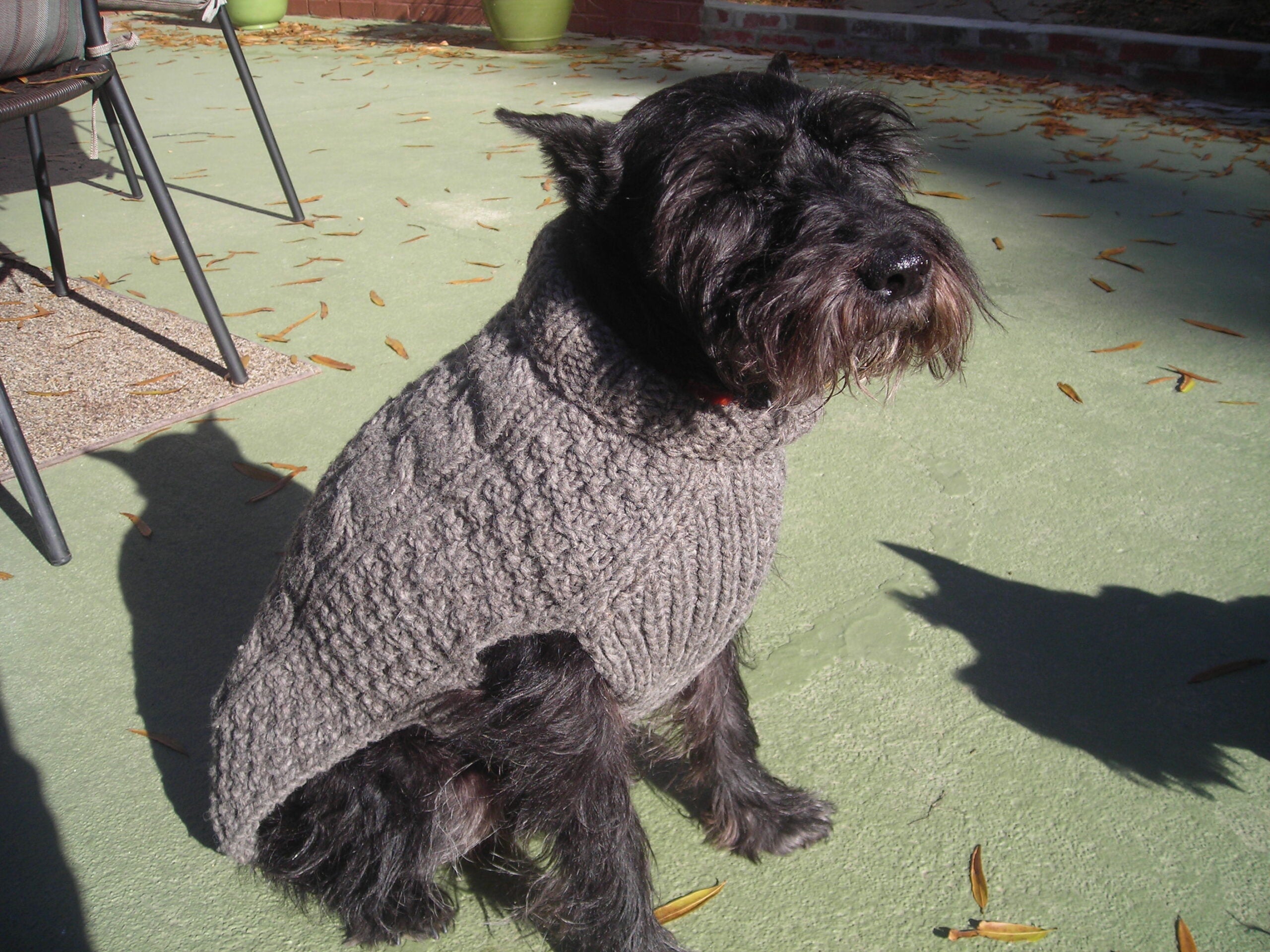 Gray Cable-Knit Dog Sweater