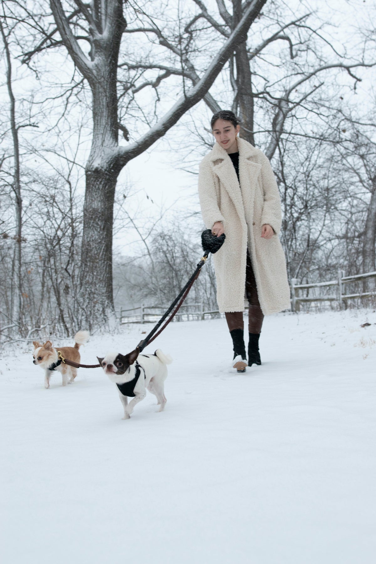 Bundle Shearling Fur Grip + Rope Leash for Dogs 