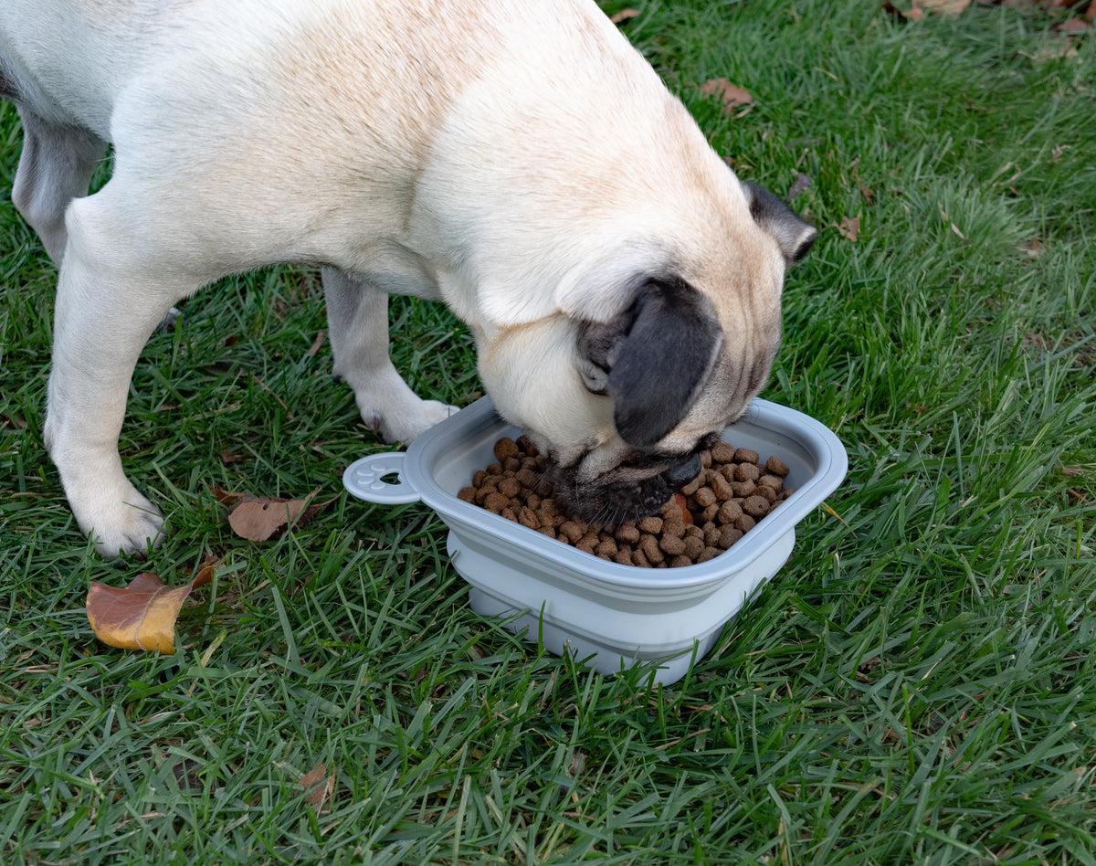 Replacement Collapsible Dog Bowls 