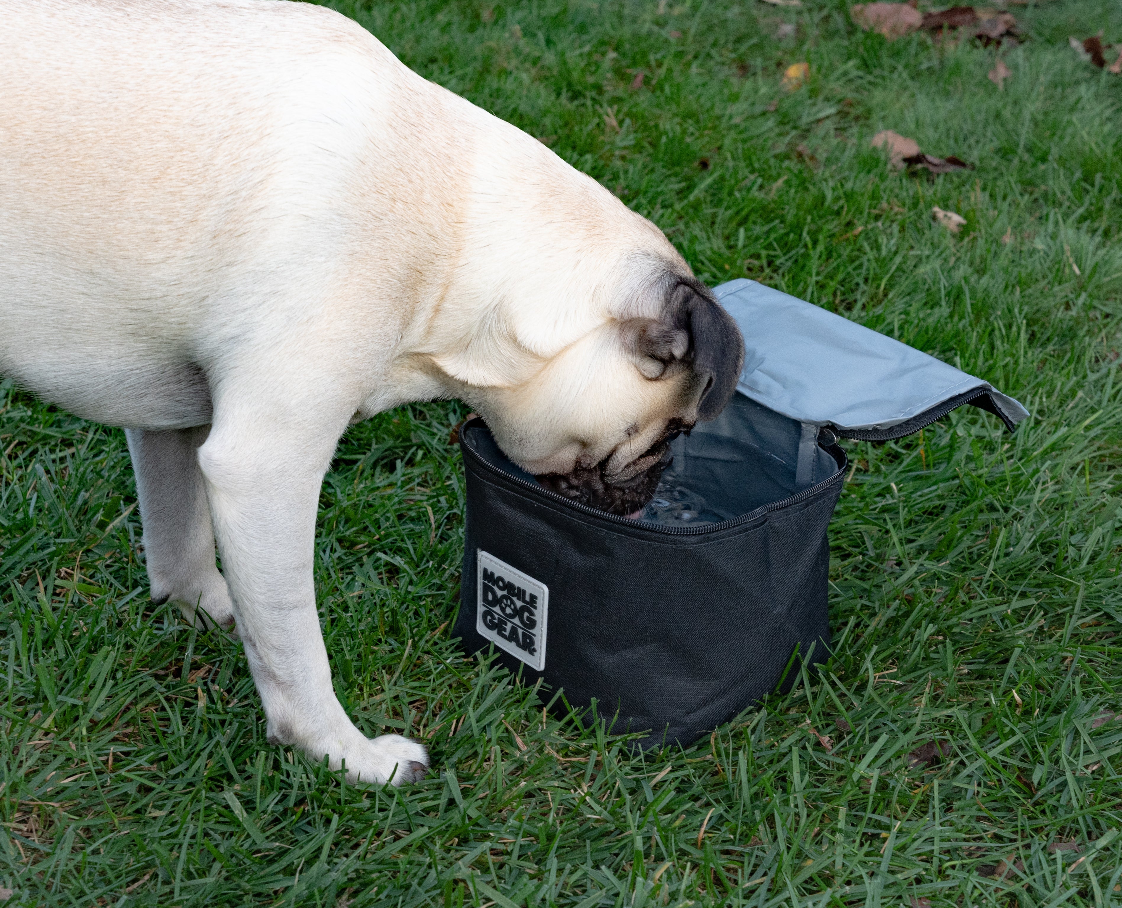 Replacement Insulated Dog Food Carriers