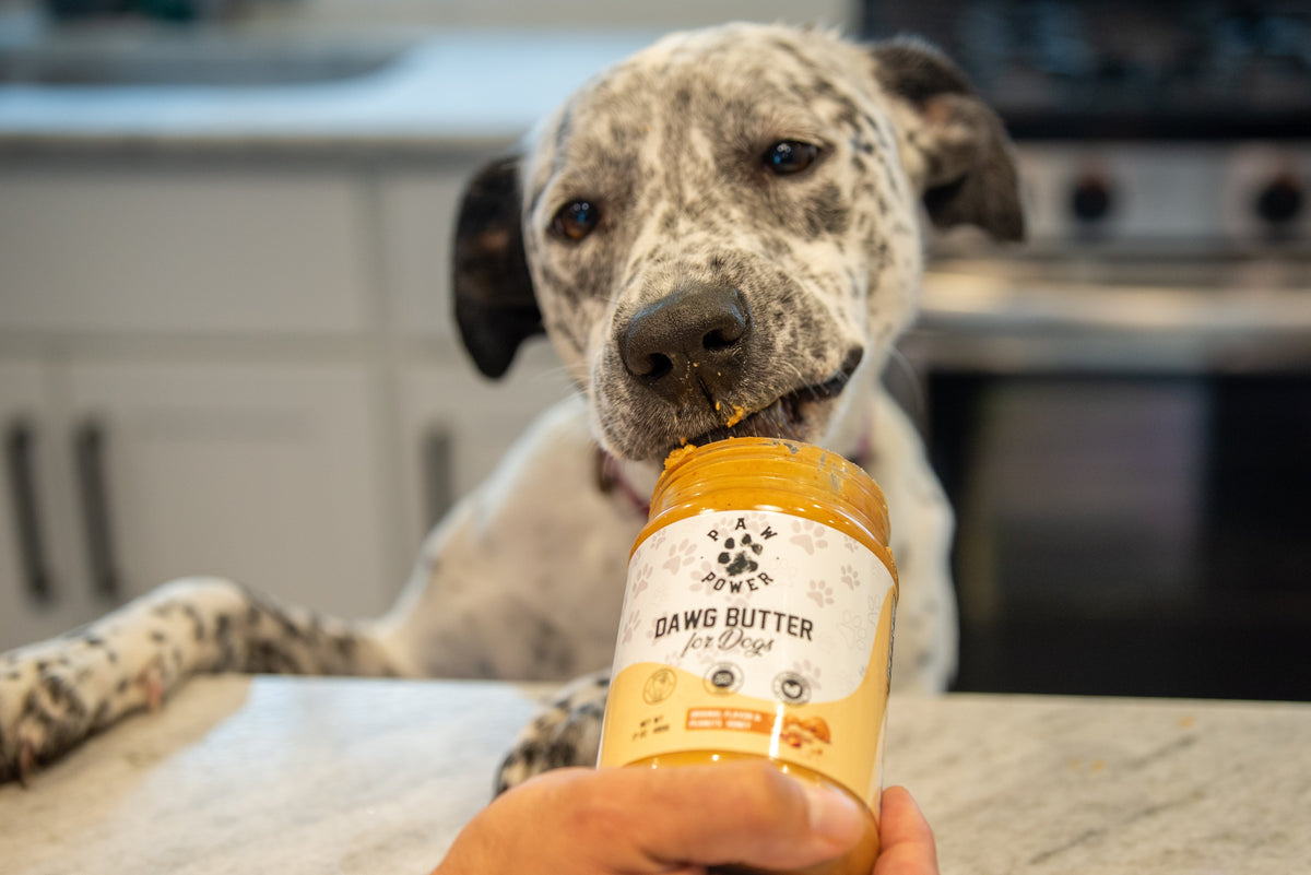 Dawg Butter Original Dog Peanut Butter