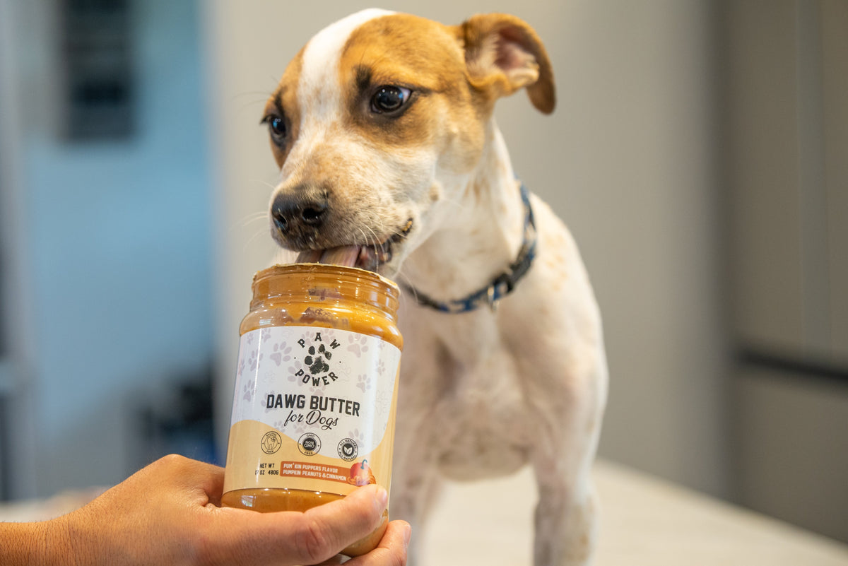 Dawg Butter Pum'kin Puppers Dog Peanut Butter