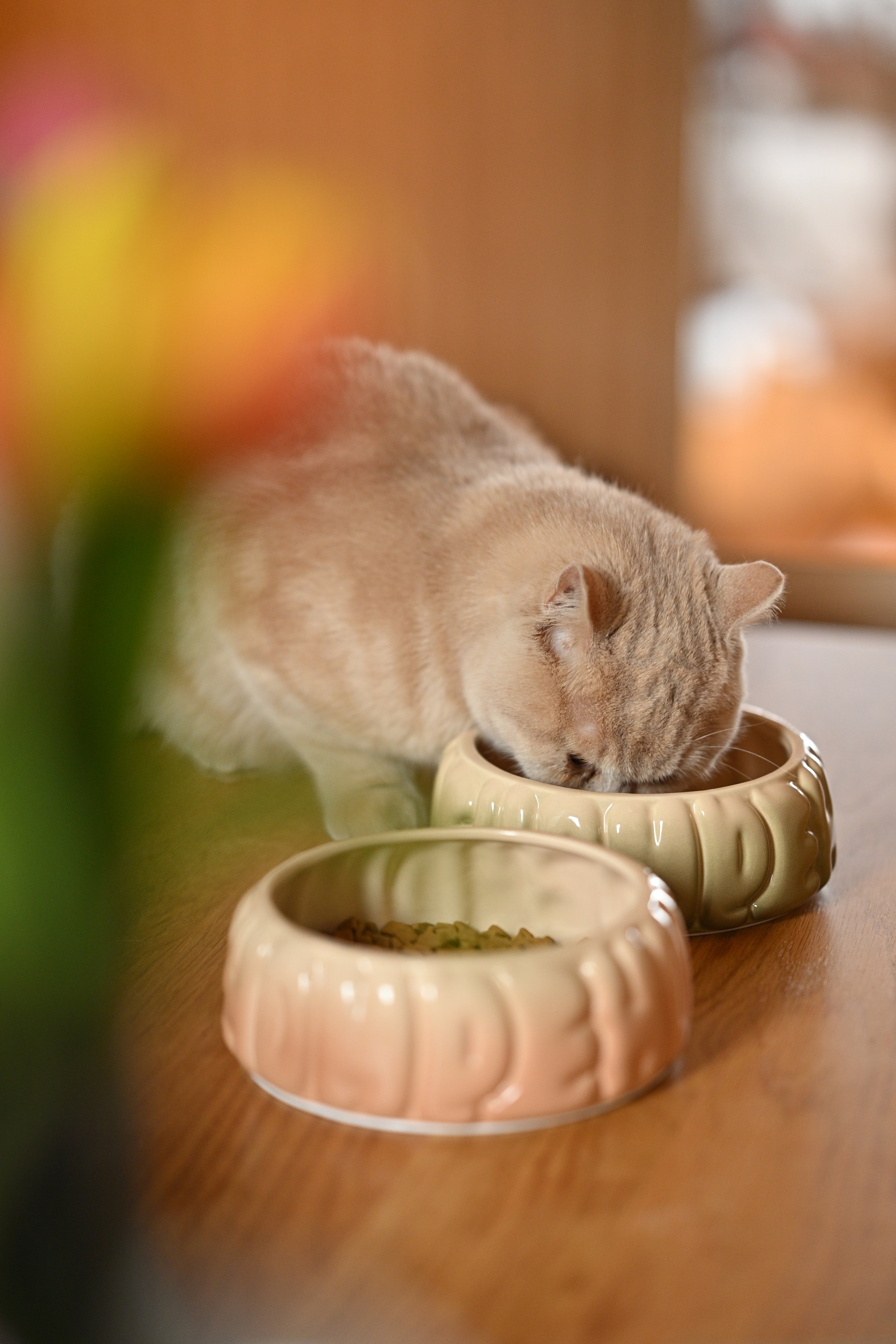 Puff Pet Bowl-Gradient Caramel