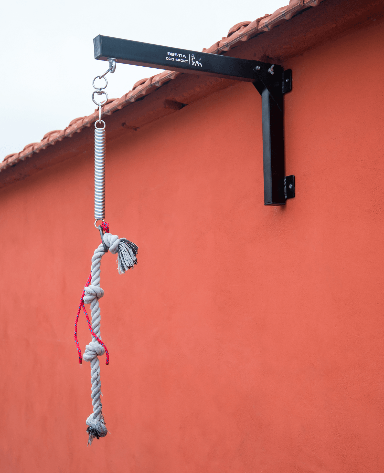 Bestia Dog Spring Pole
