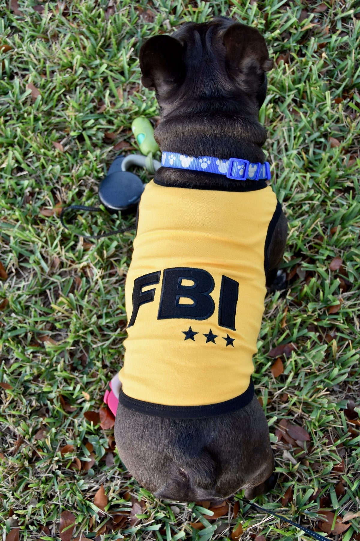 Parisian Pet FBI Funny Slogan Dog T-Shirt