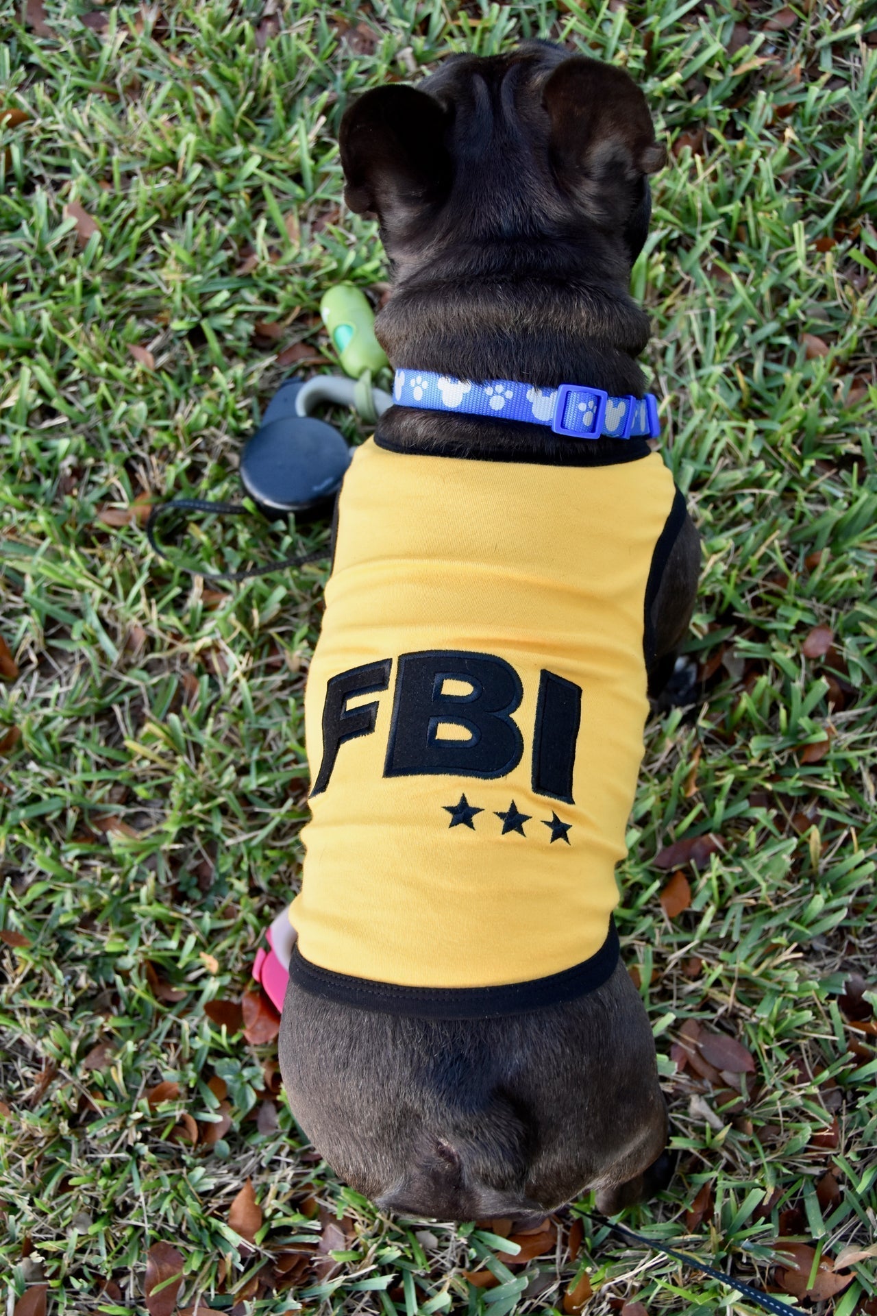 Parisian Pet FBI Funny Slogan Dog Shirt  Trendy Yellow Pet Apparel for Dogs & Cats