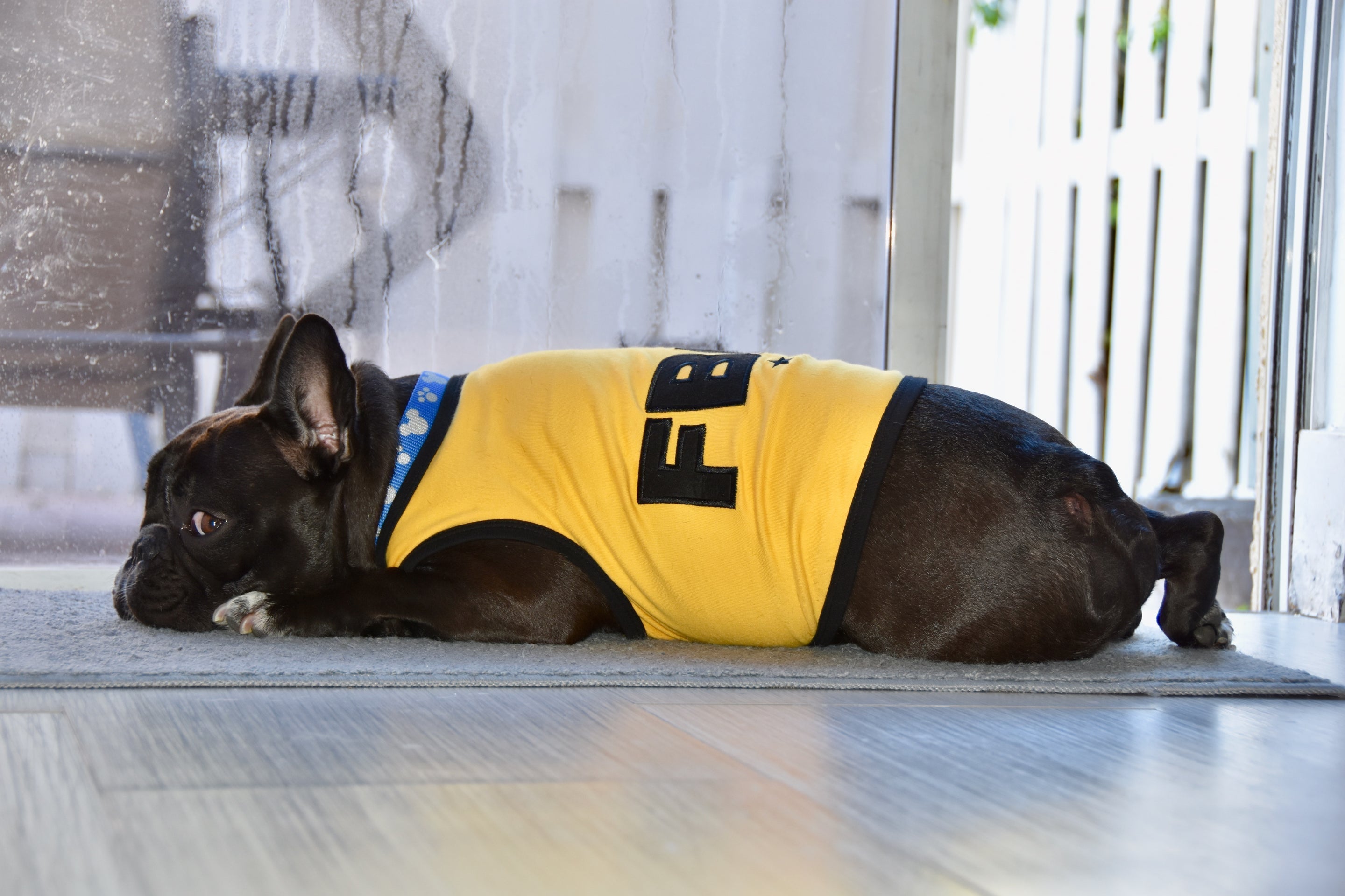 Parisian Pet FBI Funny Slogan Dog T-Shirt