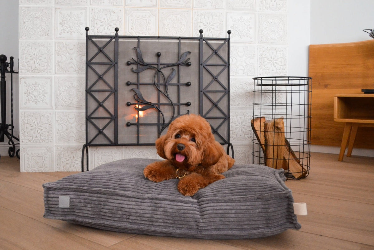 Memory Foam Dog Bed