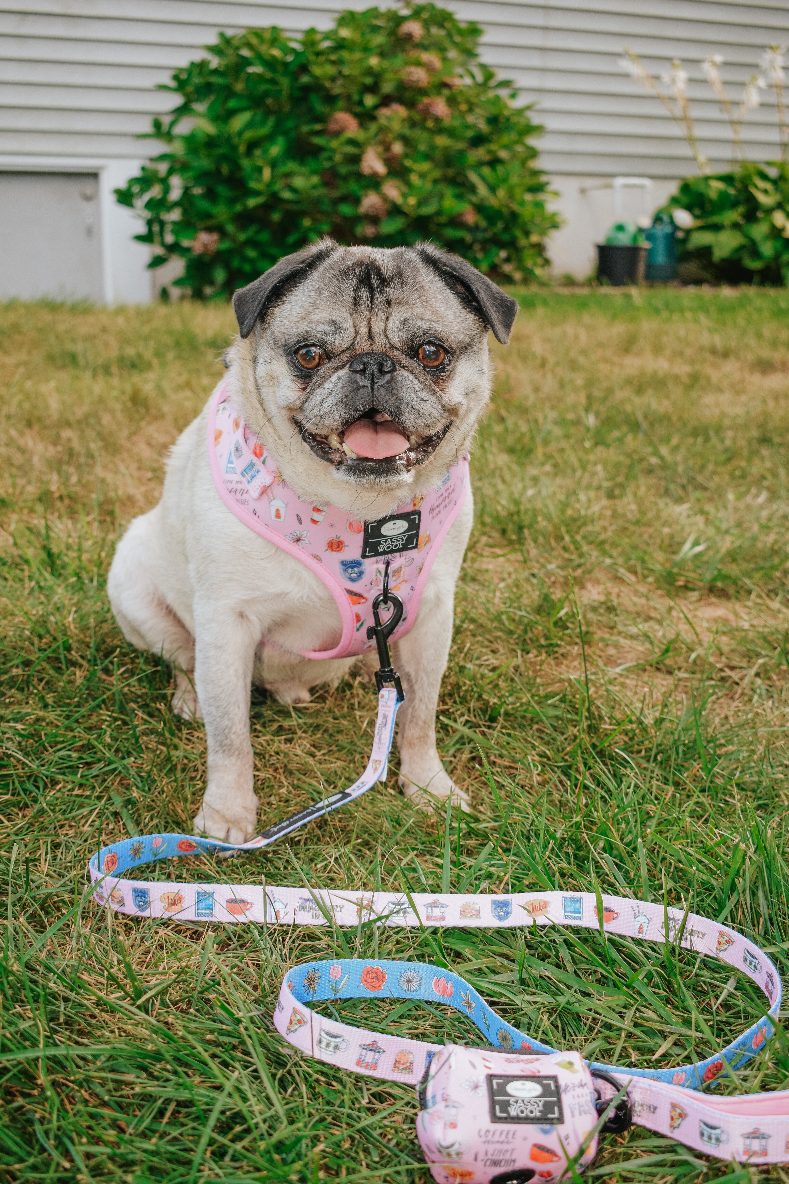 Dog Adjustable Harness - Gilmore Girls™