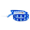 Dog Leash - Care BearsTM Grumpy Bear