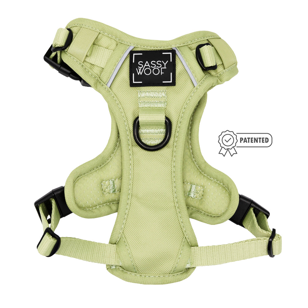 Dog Step-in Harness - Matcha
