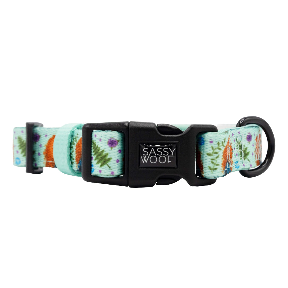 Dog Collar - Disneys Merida
