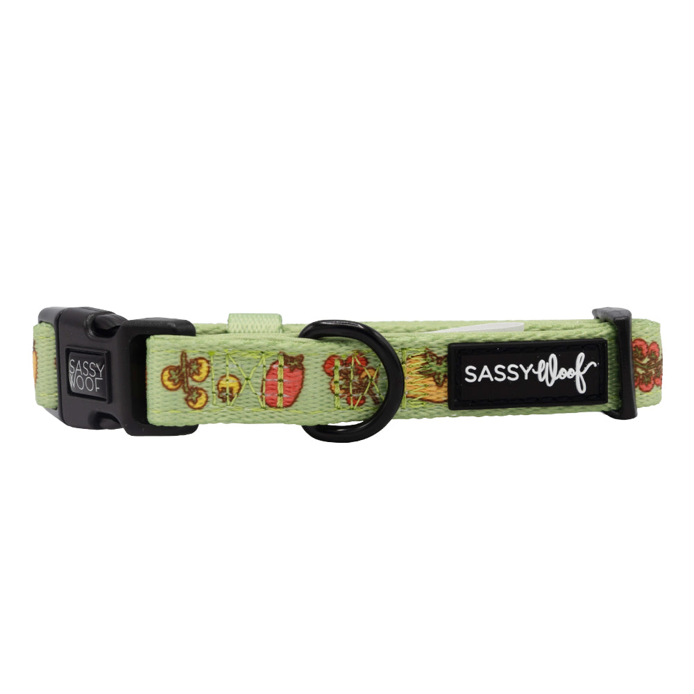 Dog Collar - Feeling Vine