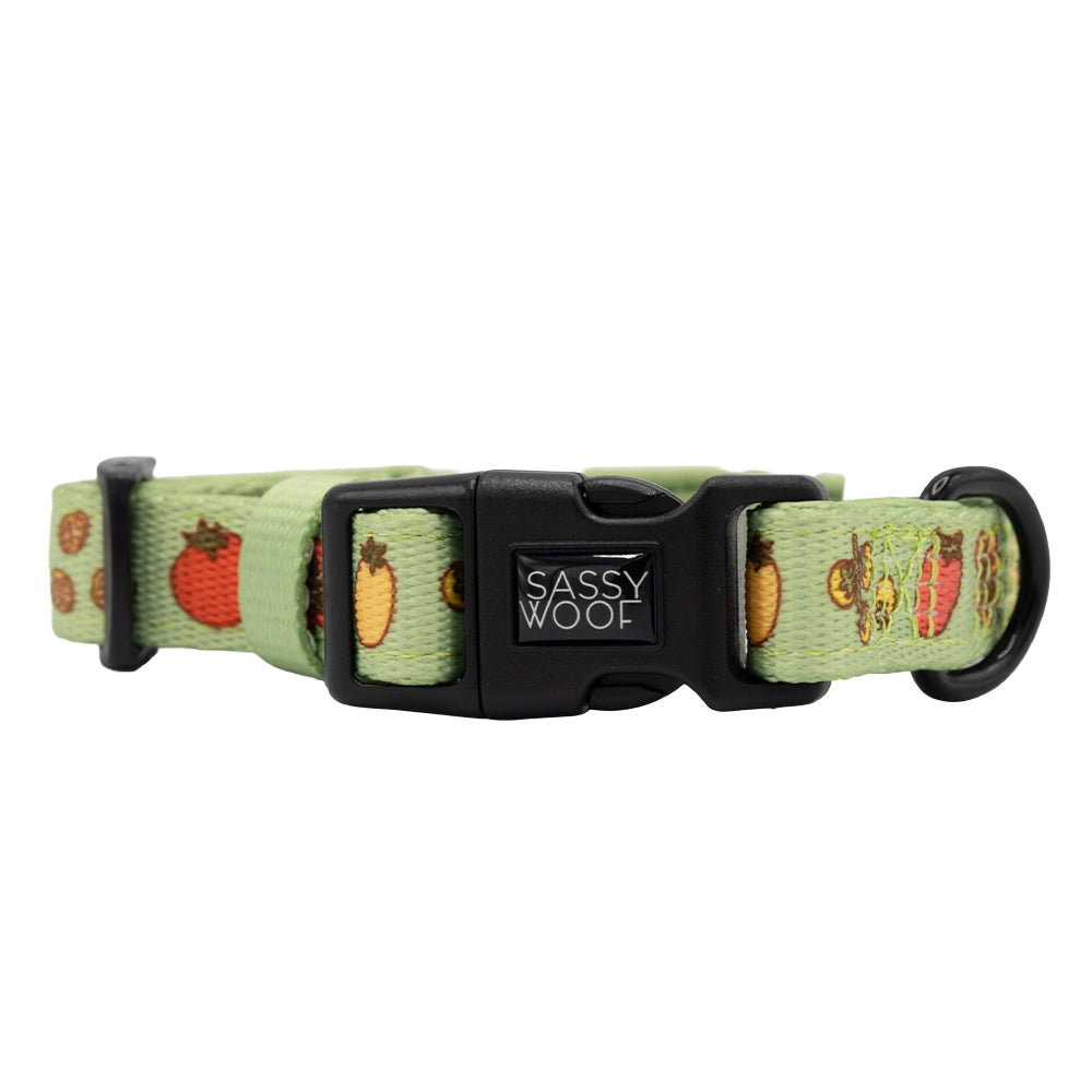 Dog Collar - Feeling Vine