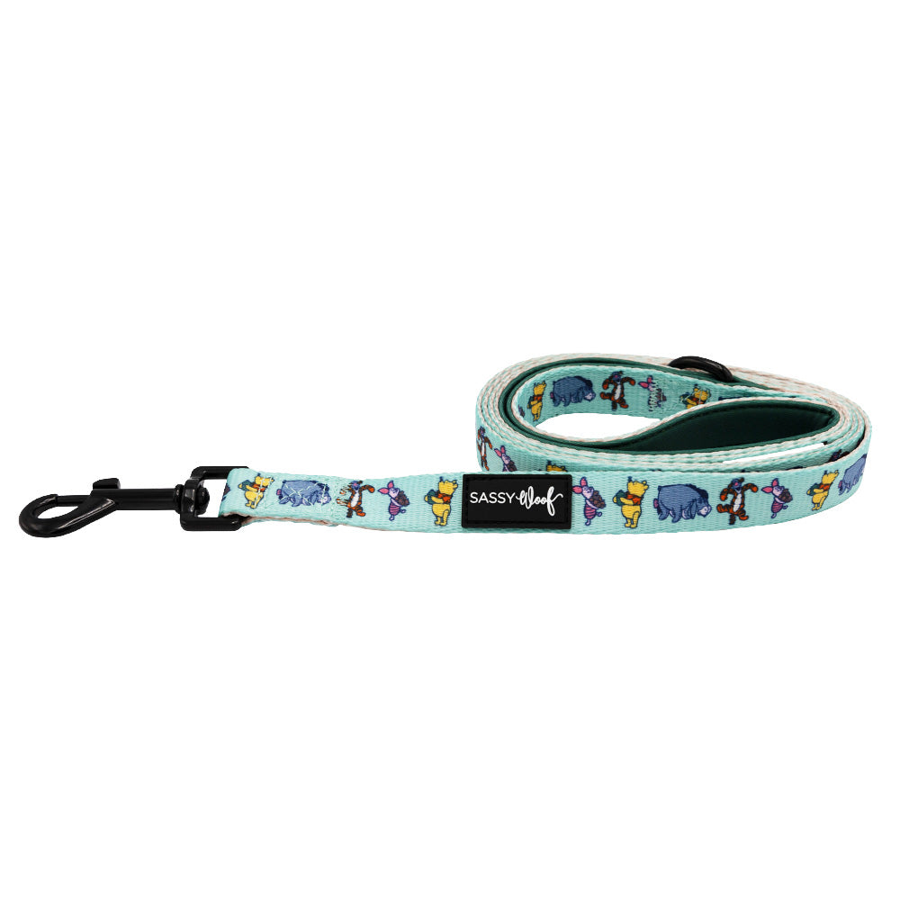Dog Leash - Disneys Winnie the Pooh