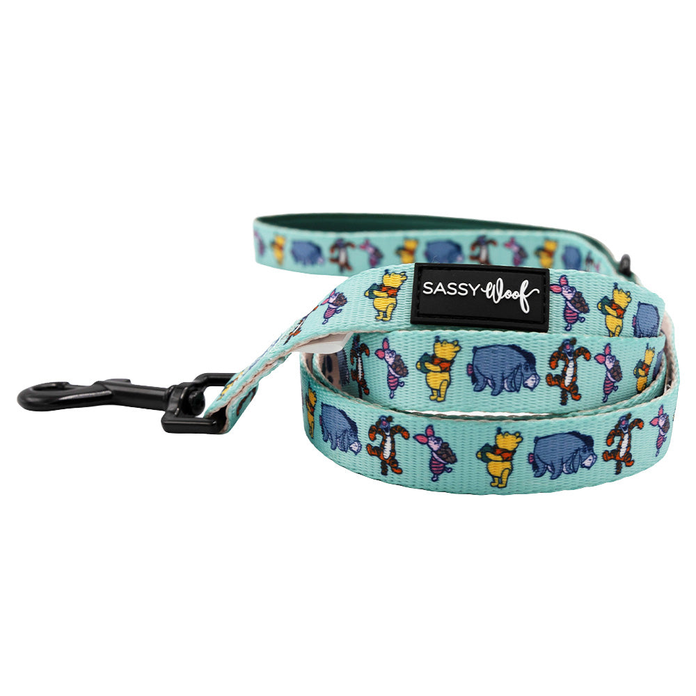 Dog Leash - Disneys Winnie the Pooh