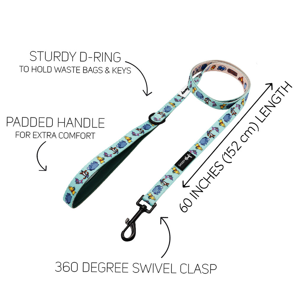 Dog Leash - Disneys Winnie the Pooh