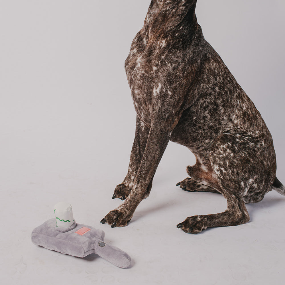 Dog Toy Squeaker Plush - Rick and Morty Portal Gun 