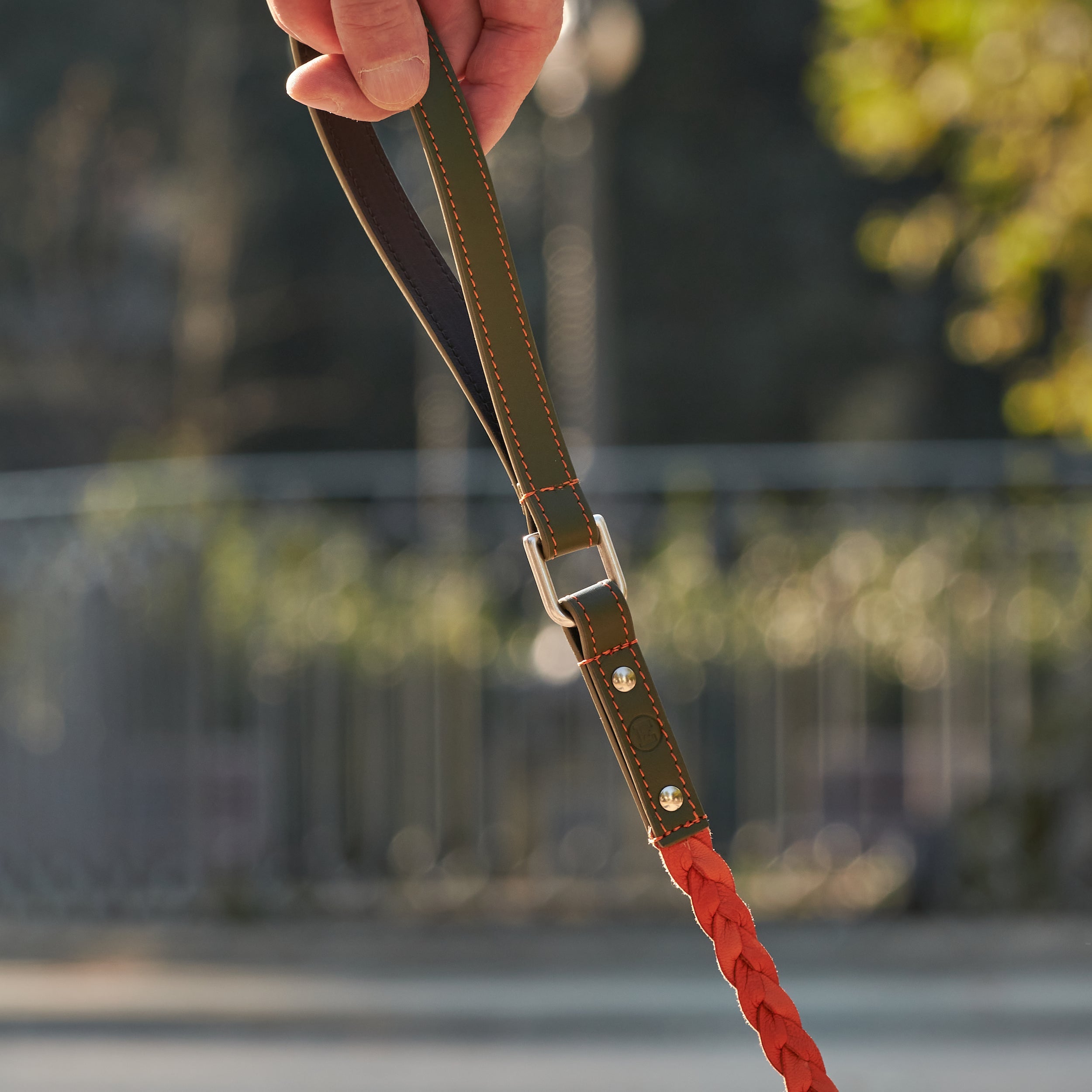 Green & Orange Braid-Leash