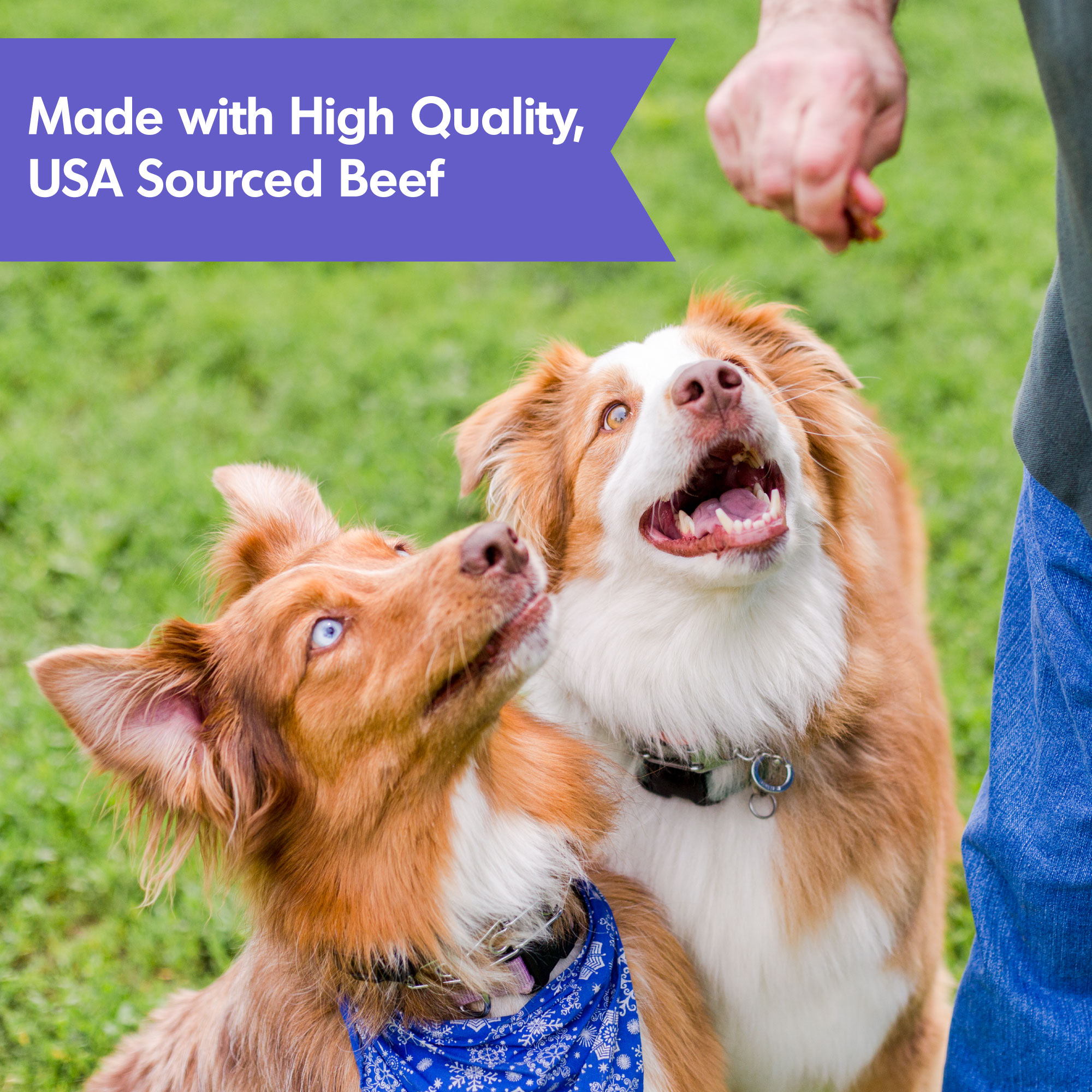 Dogswell Hip & Joint Jerky Treats, Beef (10oz) - HT Animal Supply