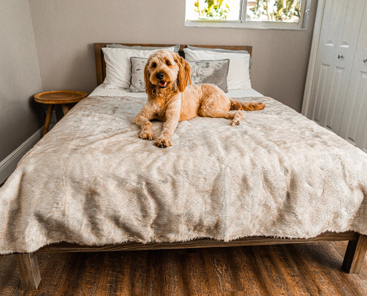 PupProtector Short Fur Waterproof Throw Blanket White with Brown Accents