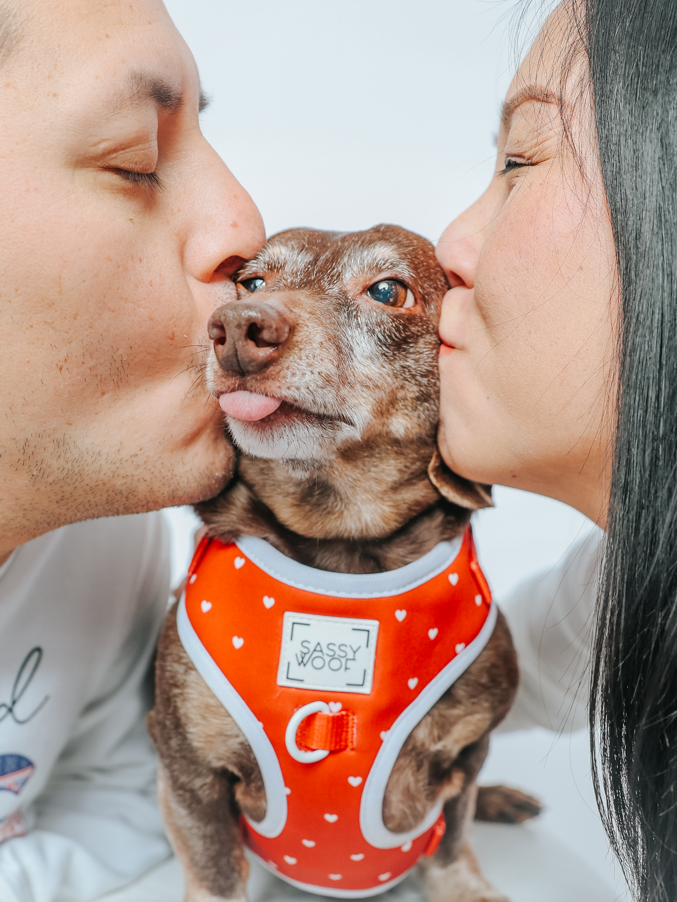 Dog Adjustable Harness - Little Love