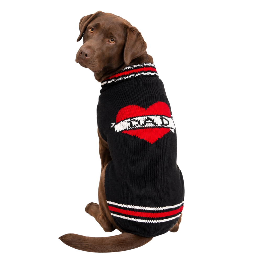 Chilly Dog Dad Wool Dog Sweater