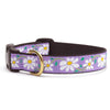Up Country Daisy Cast Brass Dog Collar