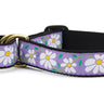 Daisy Martingale