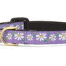 Daisy Small Breed Dog Collar