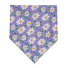 Up Country Daisy Pet Bandana Made in USA Pet Accessory