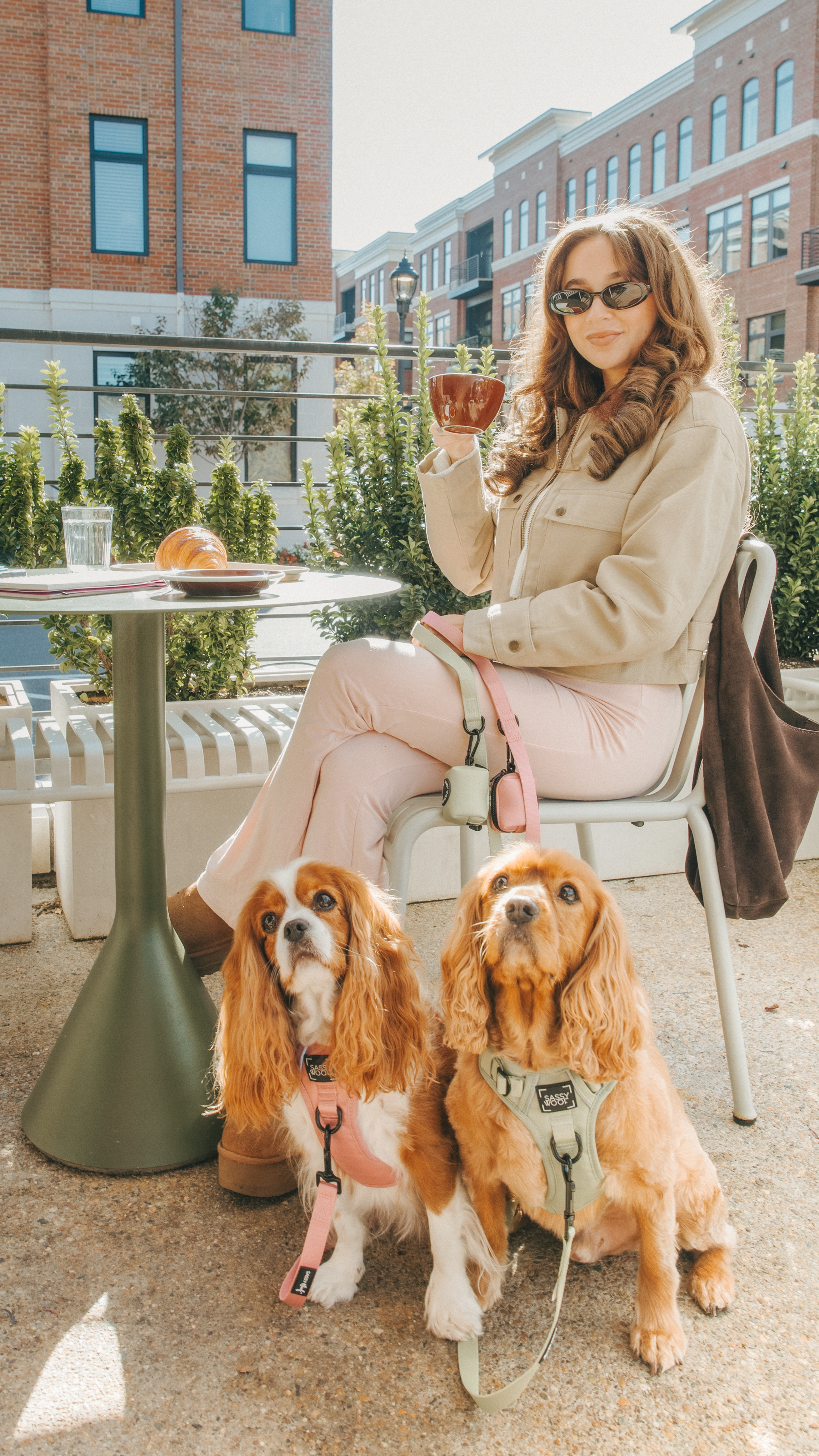 Dog Step-in Harness - Matcha