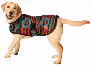Chilly Dog Desert Rose Wool Blanket Dog Coat