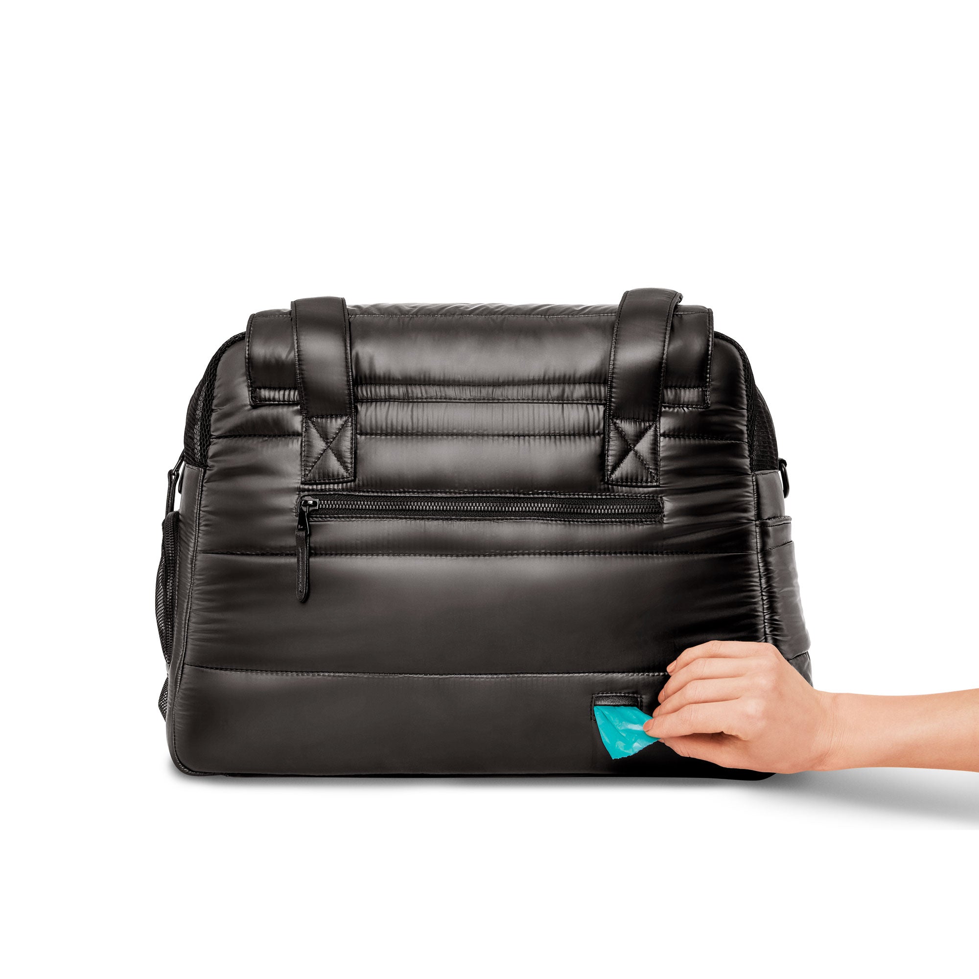 Destination Dog Tote - Ltd Edition