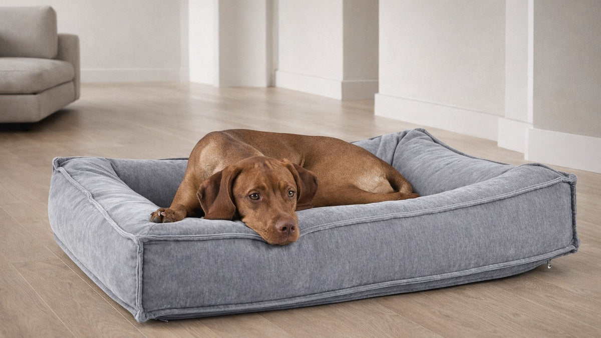 Bowsers Divine Dog Bed Futon Dog Bed - Cloud-Like Cushioning for Stretch-Out Sleep
