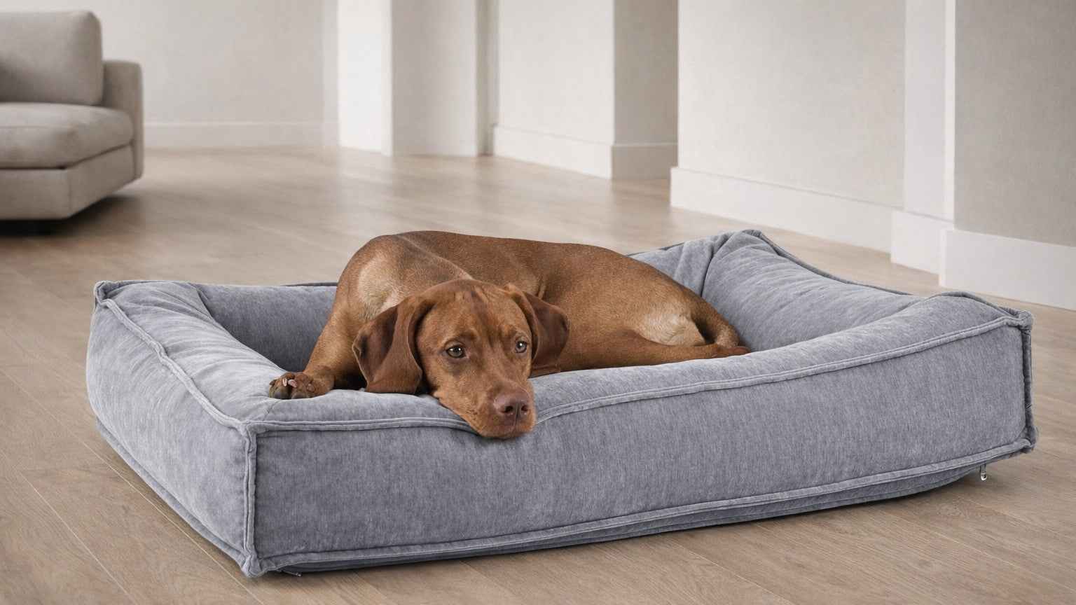 Bowsers Divine Dog Bed Futon Dog Bed – Cloud-Like Cushioning for Stretch-Out Sleep
