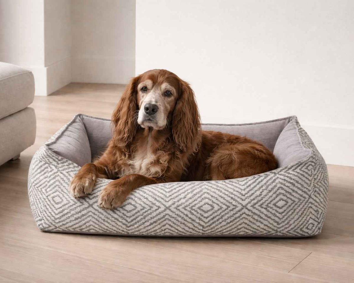 Bowsers Oslo Orthopedic Dog Bed - Supportive Joint-Relief Comfort