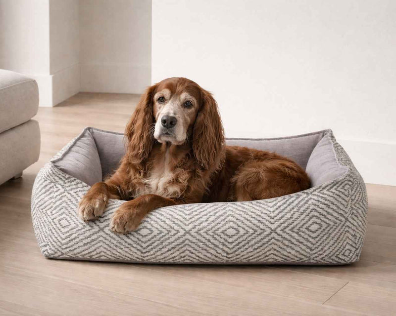 Bowsers Oslo Orthopedic Dog Bed – Supportive Joint-Relief Comfort