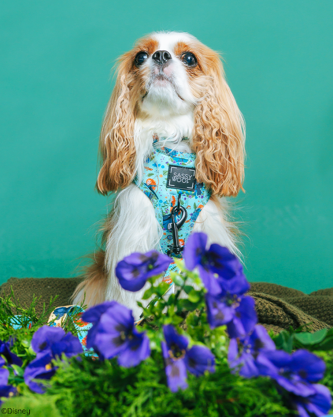 Dog Adjustable Harness - Disneys Merida