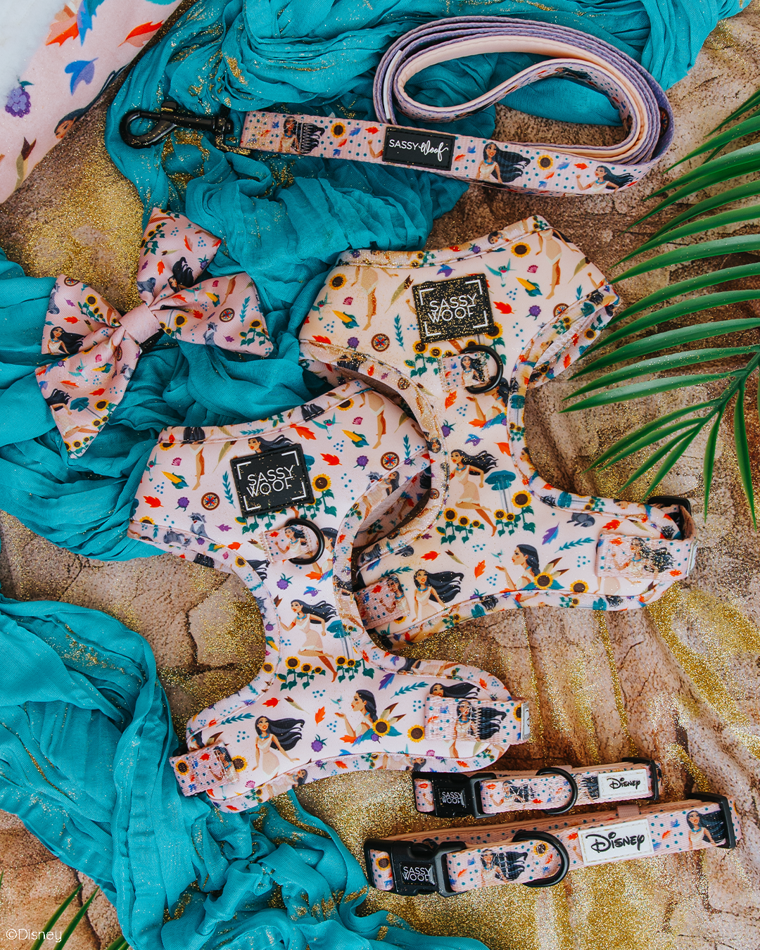 Dog Adjustable Harness - Disneys Pocahontas