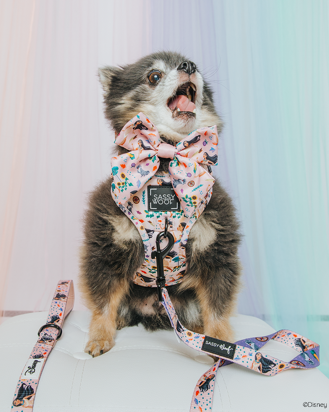 Dog Adjustable Harness - Disneys Pocahontas