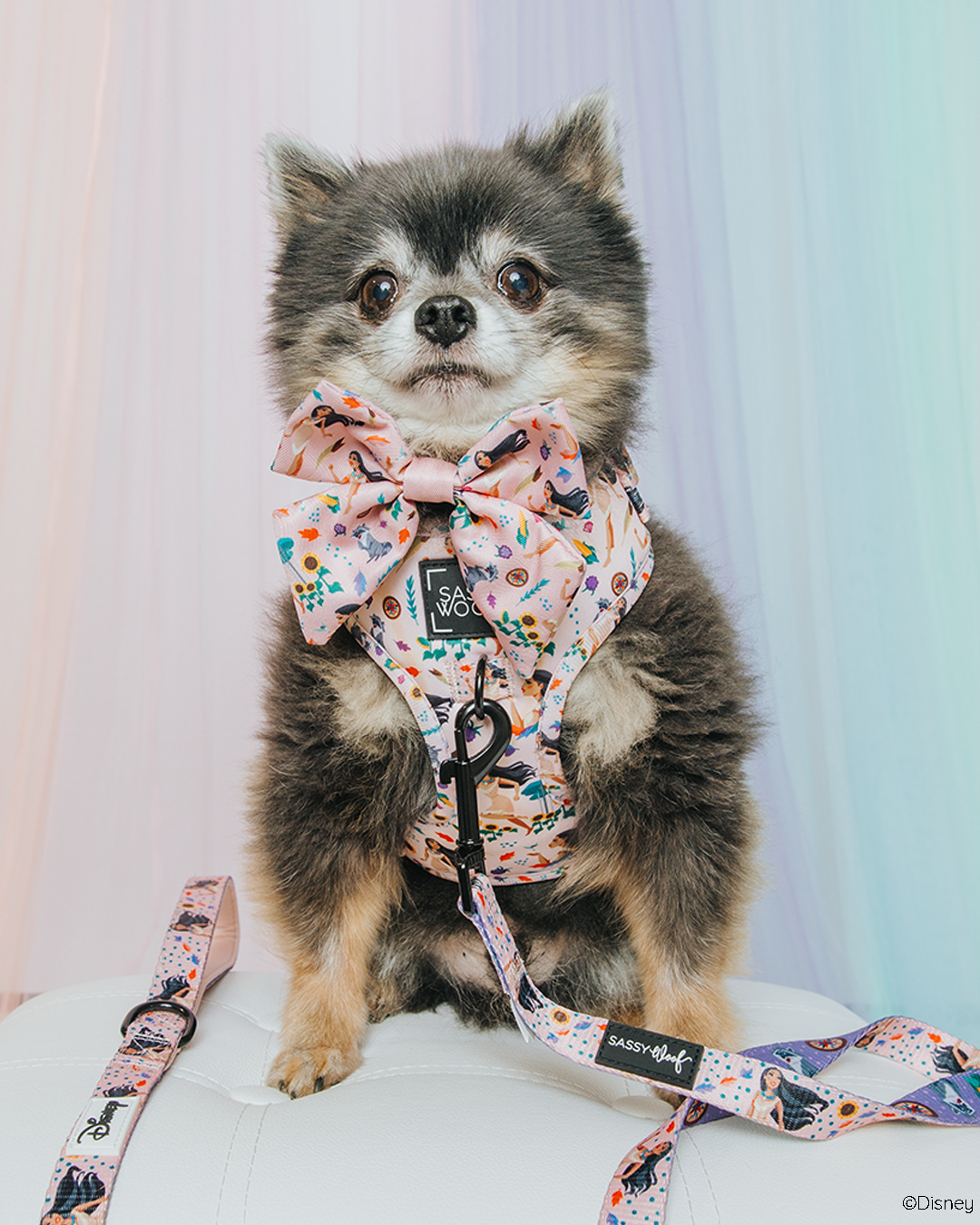 Dog Adjustable Harness - Disneys Pocahontas