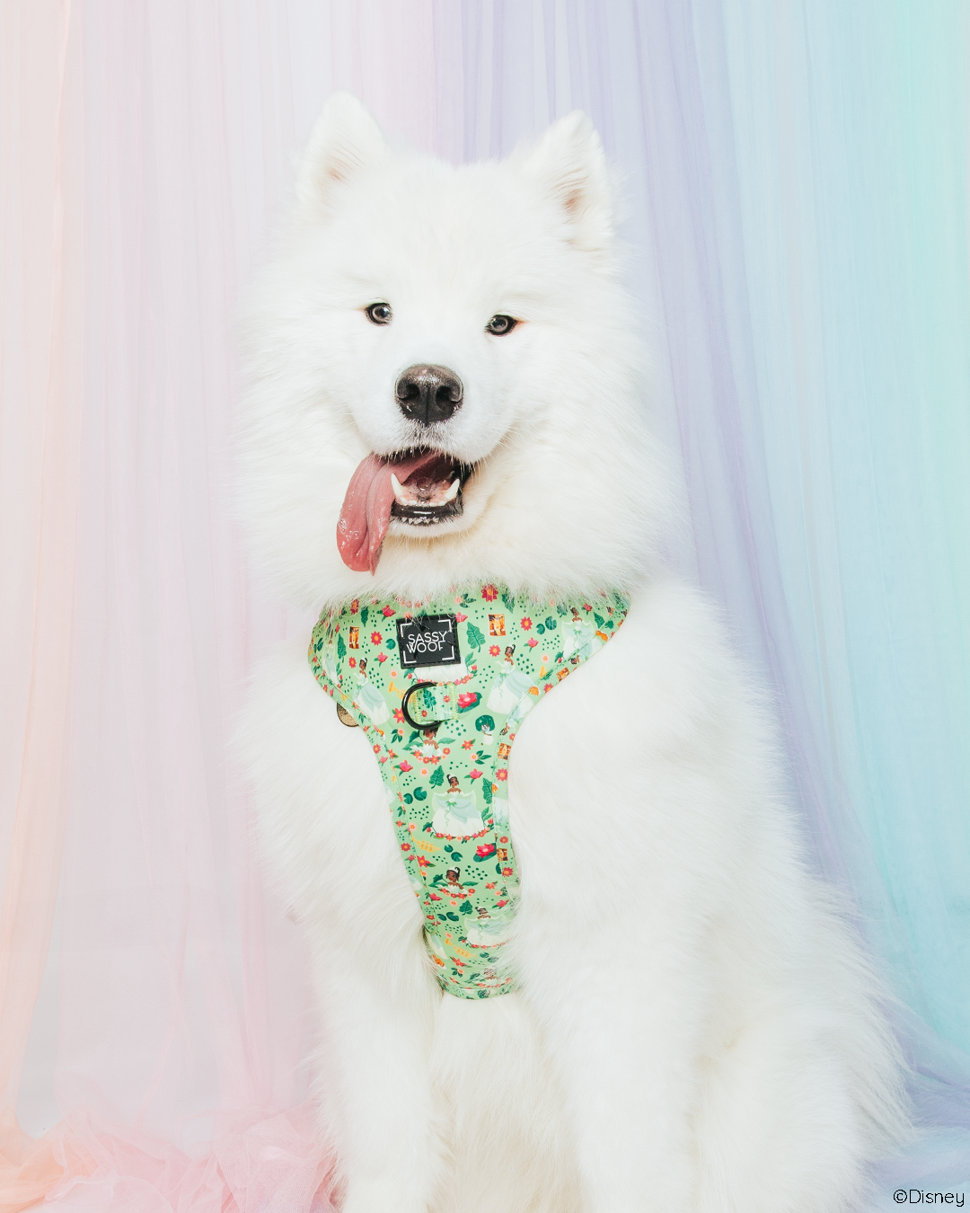 Dog Adjustable Harness - Disneys Tiana