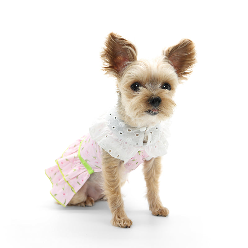 DOGO Ditsy Floral Dog Dress