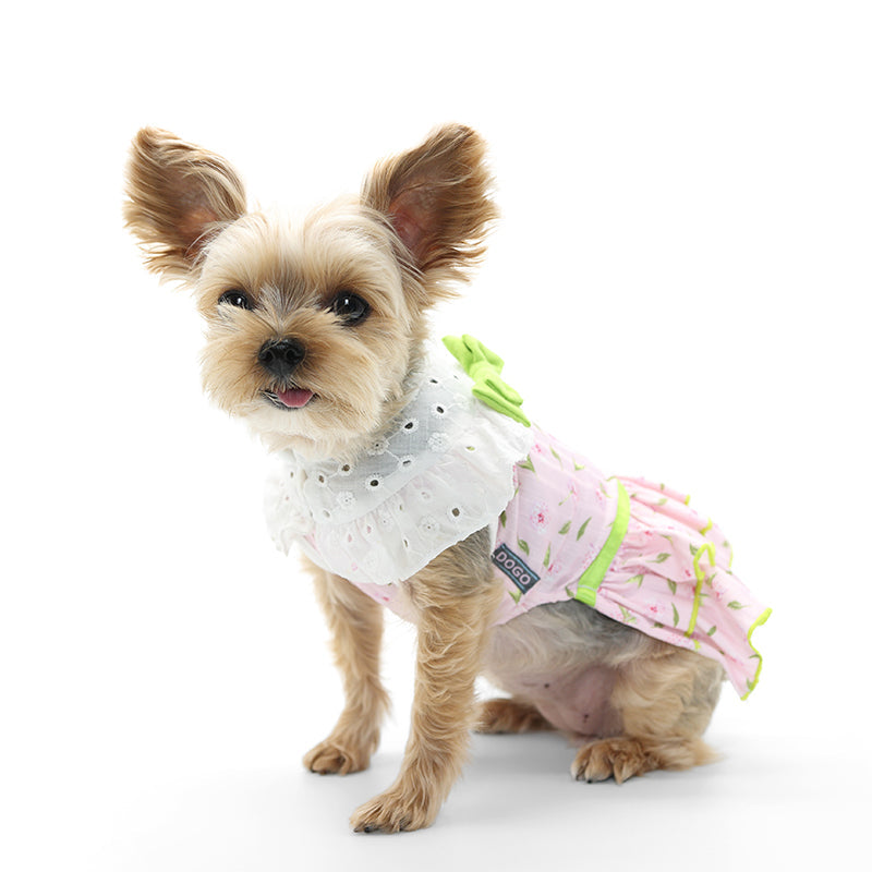 DOGO Ditsy Floral Dog Dress