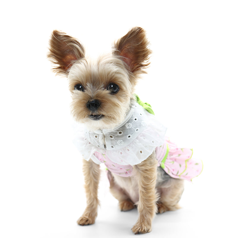 DOGO Ditsy Floral Dog Dress